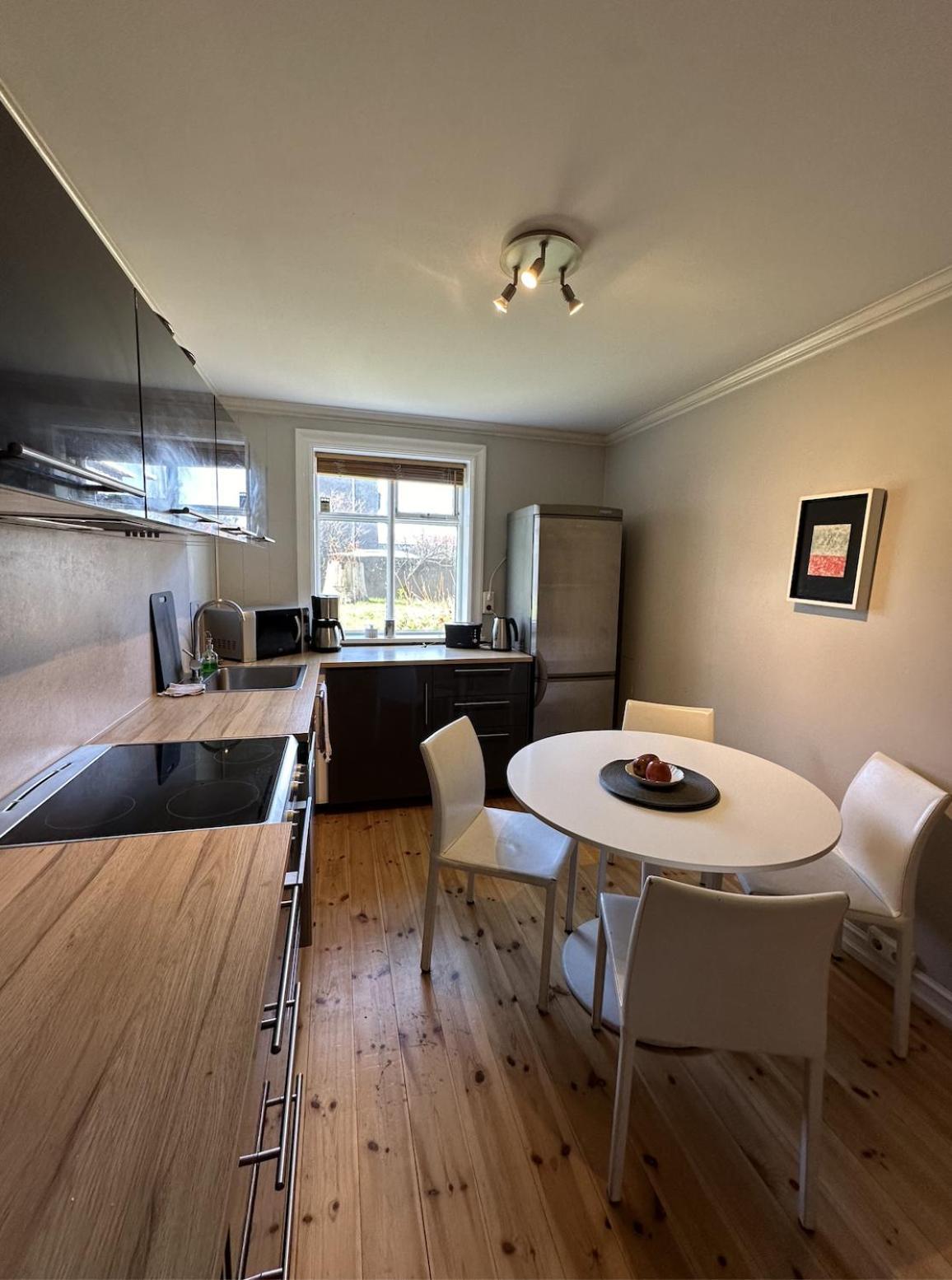 Reykjavik Urban Escape 2-Bedroom Haven With Private Entrance Exterior foto